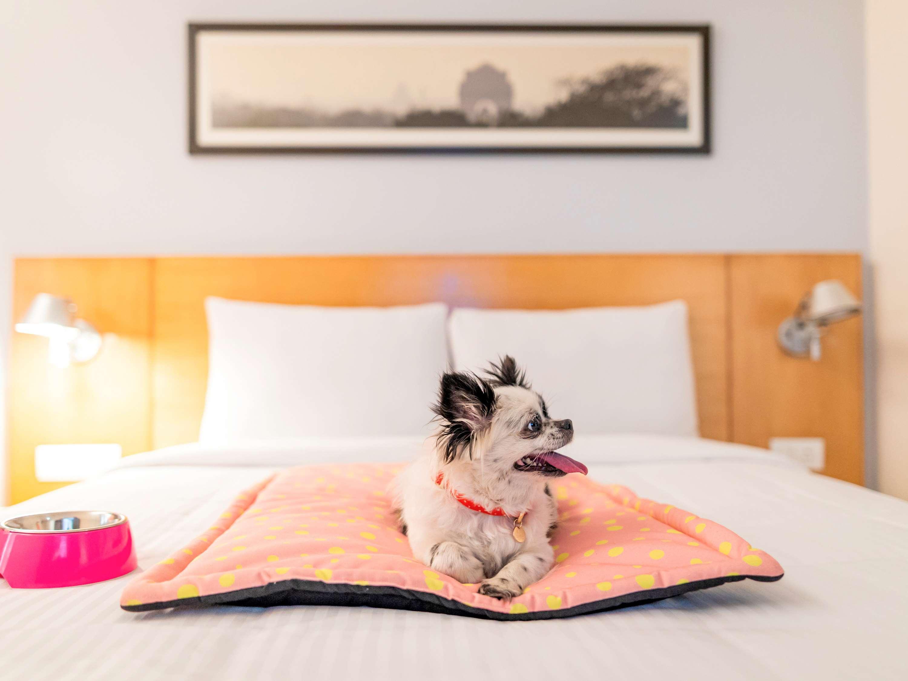 Ibis Bengaluru City Centre - An Accor Brand Екстериор снимка